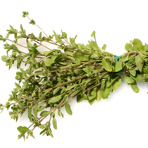 Sweet Marjoram