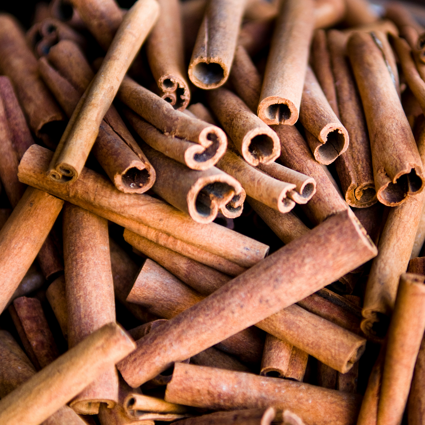 Cinnamon bark—the source of this sweet-spicy essential oil.