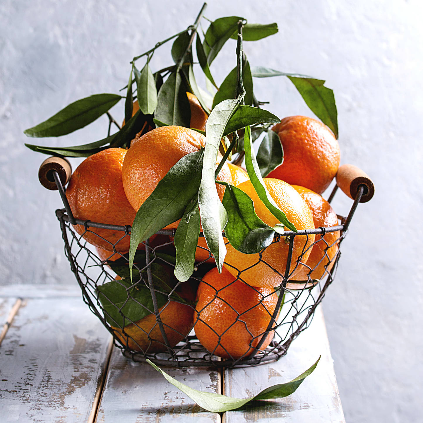 Close-up of ripe mandarins hanging on a leafy tree branch.